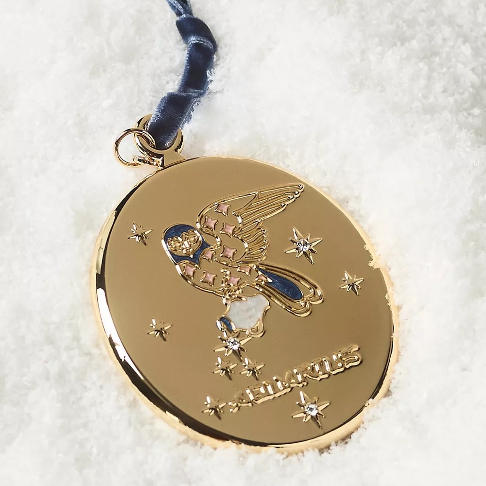 Anthropologie x Lou Benesch Aquarius Stargazer Zodiac Ornament